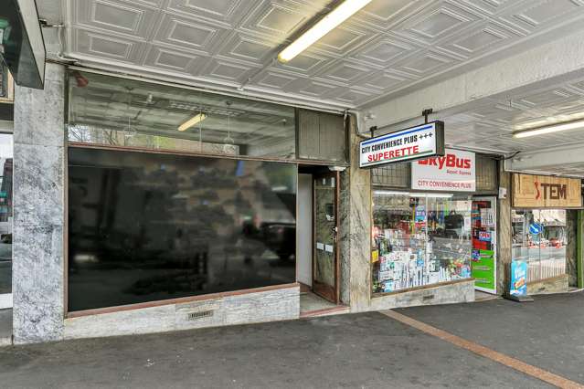 17 Wellesley Street West City Centre_1