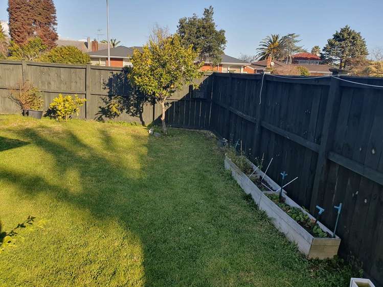 19A Williams Avenue Pakuranga_15