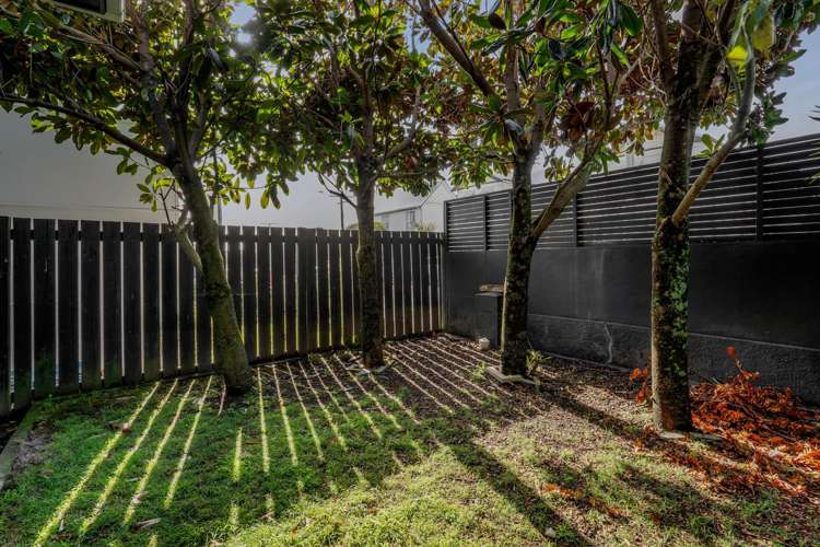 16 Weymouth Street New Plymouth Central_25