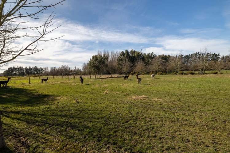 434 Collins Road Springston_23