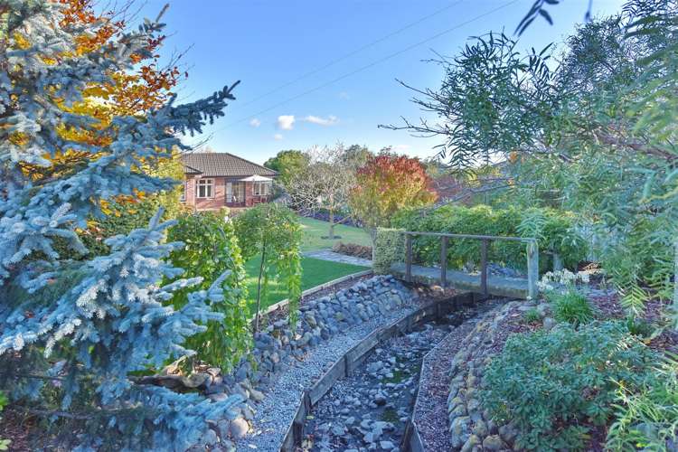 45 Bank Street Amberley_23