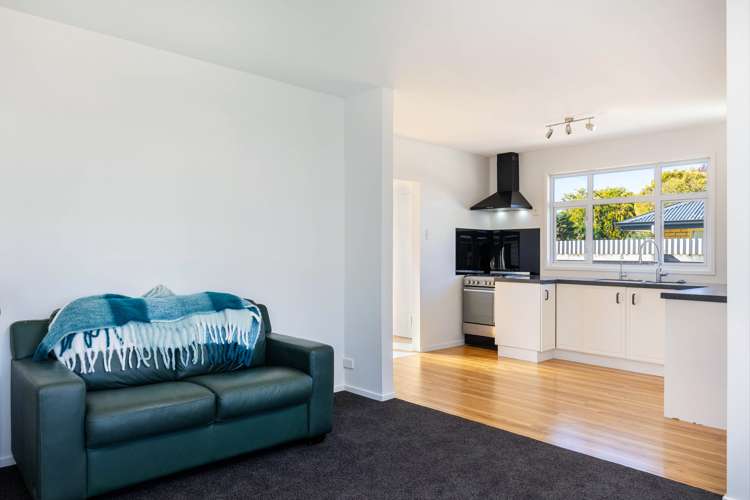 31a Beaver Road Blenheim Central_7