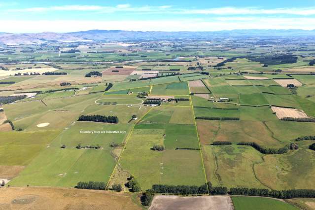 391A Otama Road Otama_3