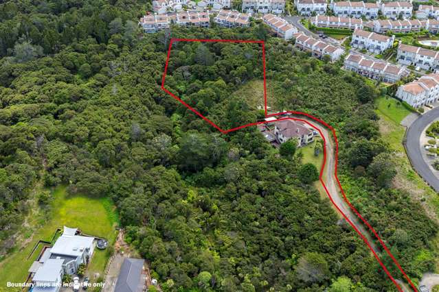 31 Living Stream Road Albany Heights_4