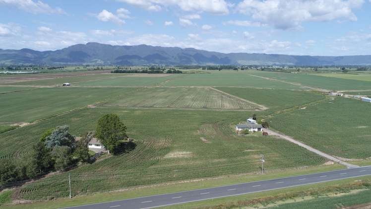 1291 Alexandra Road Waharoa_10