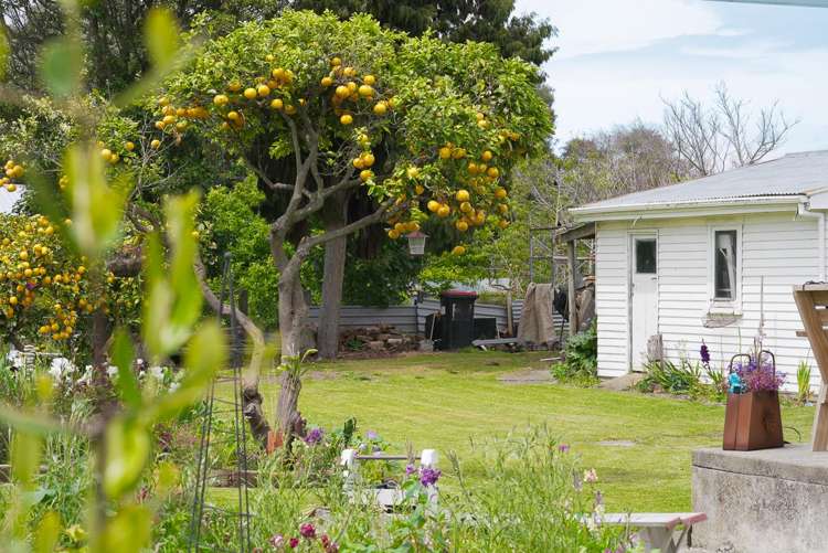 30 Aotaki Street Otaki_25