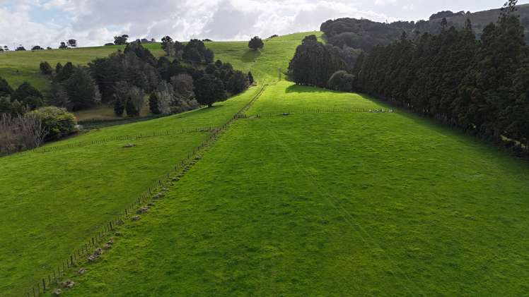 5587 State Highway 12 Kaikohe_6