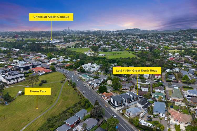 1664F Great North Road Avondale_16