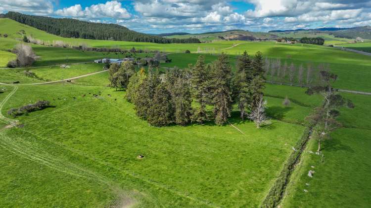 8 Heaven Road Waitakaruru_17