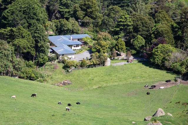 1921 Weber Road Dannevirke_2