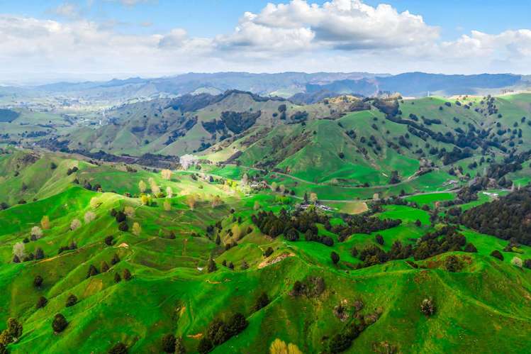 162 Okahukura Saddle Road Matiere_25