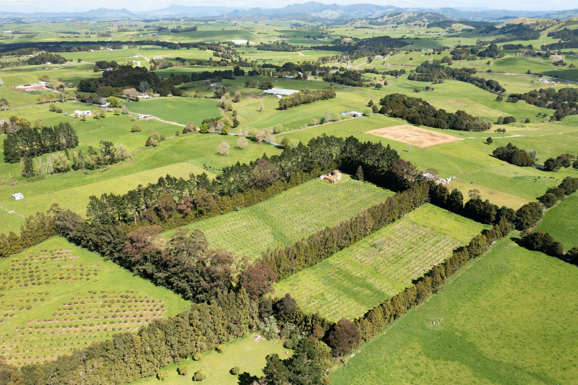 1374 Pipiwai Road Ruatangata_0