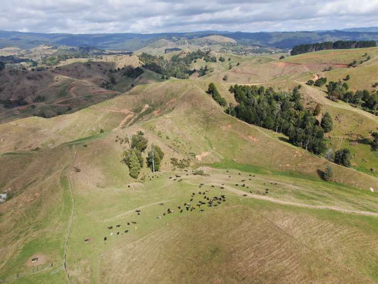 1026 Limeworks Loop Road Karamu_16