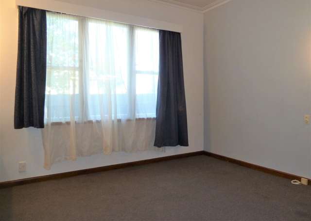 913 Rata Street Mahora_4