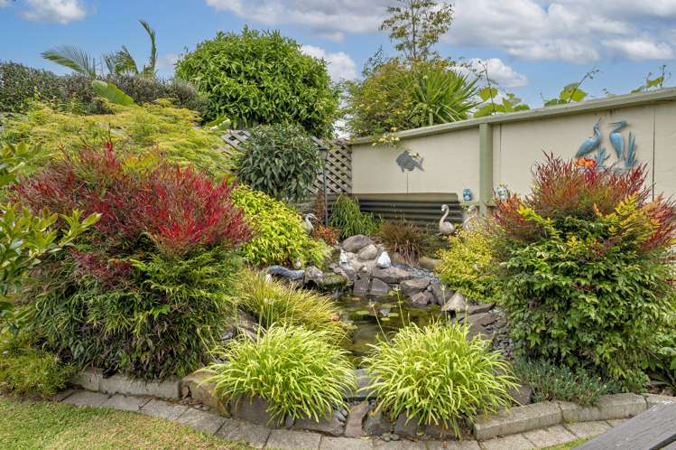 38 Olympic Drive Whakatane_11