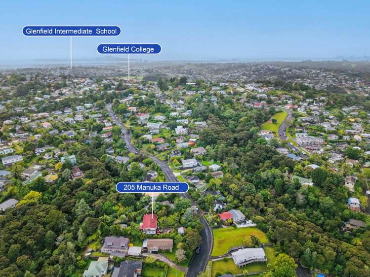 203 & 205 Manuka Road Bayview_8