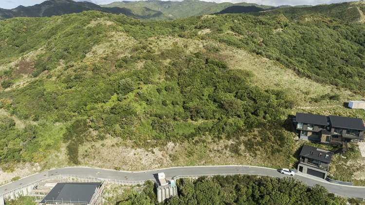 Lot 24, 75 Rhine Street Island Bay_17