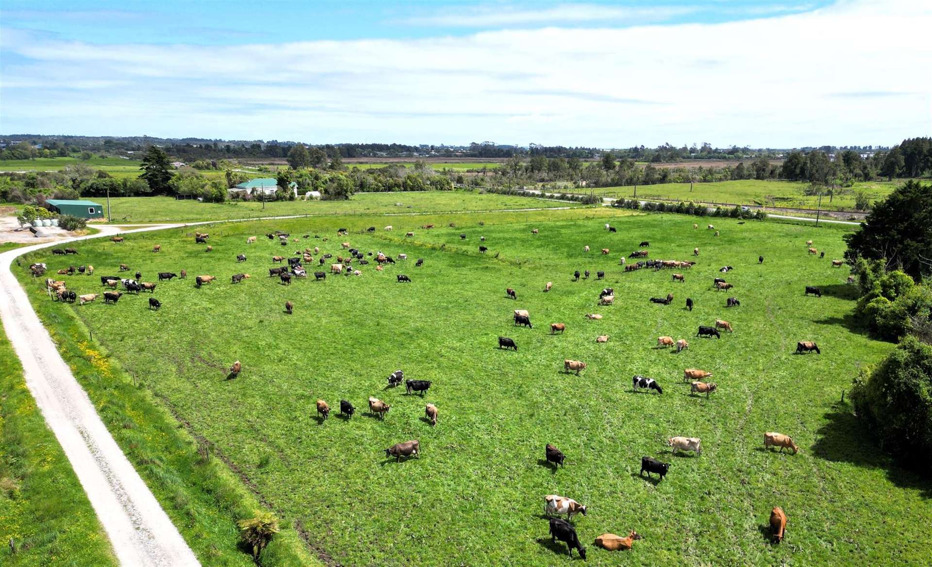 130 Stephen Road Westport_0