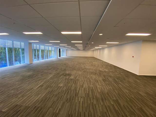 15 Nicholls Lane Parnell_4