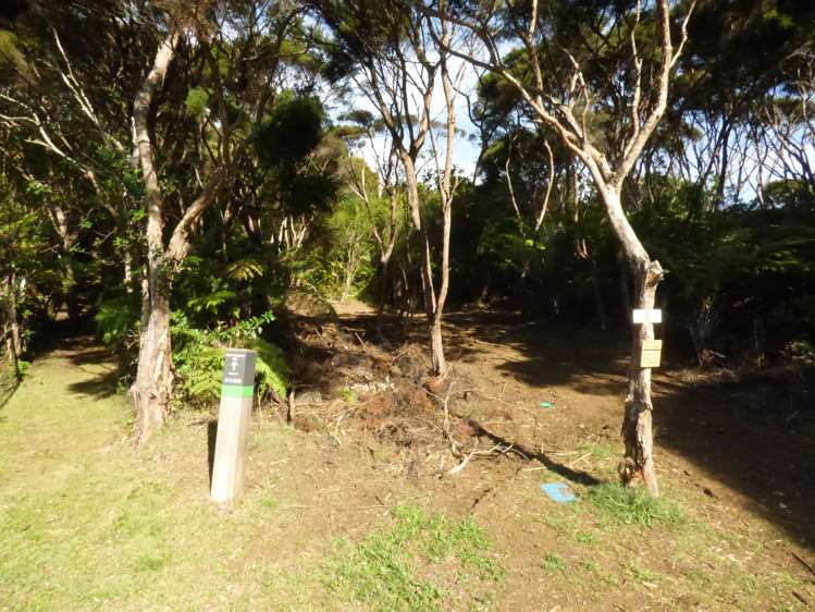 6 Ryan Road Te Akau_21