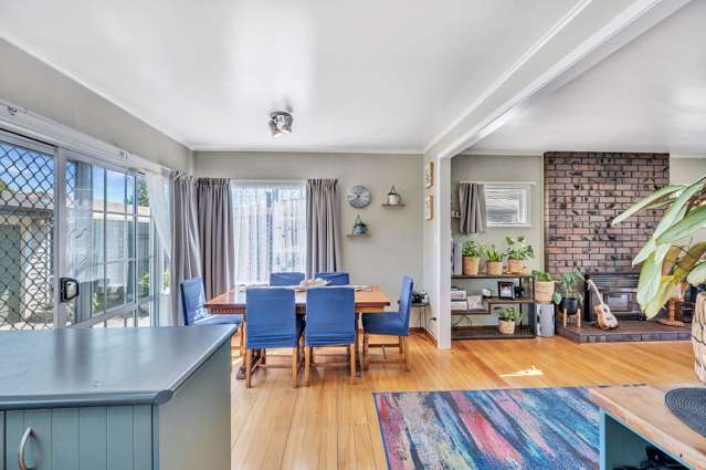 74 Alexander Avenue Onekawa_4