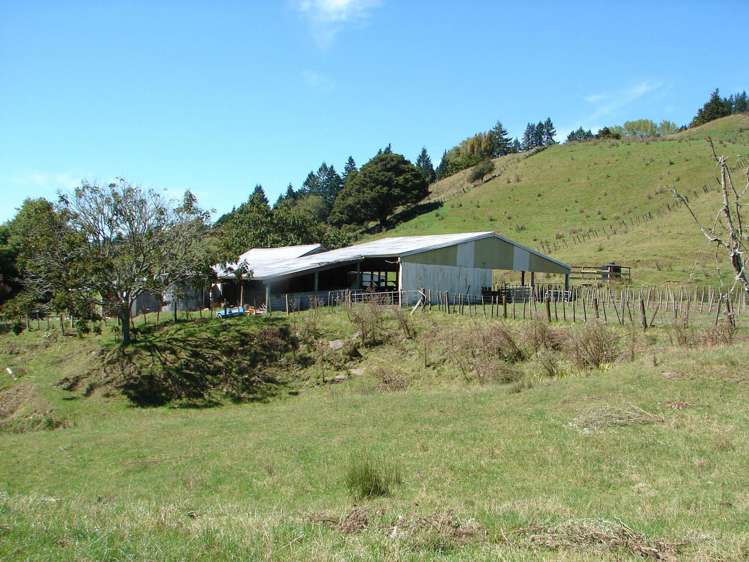 82 Carter Road Taumarunui_5