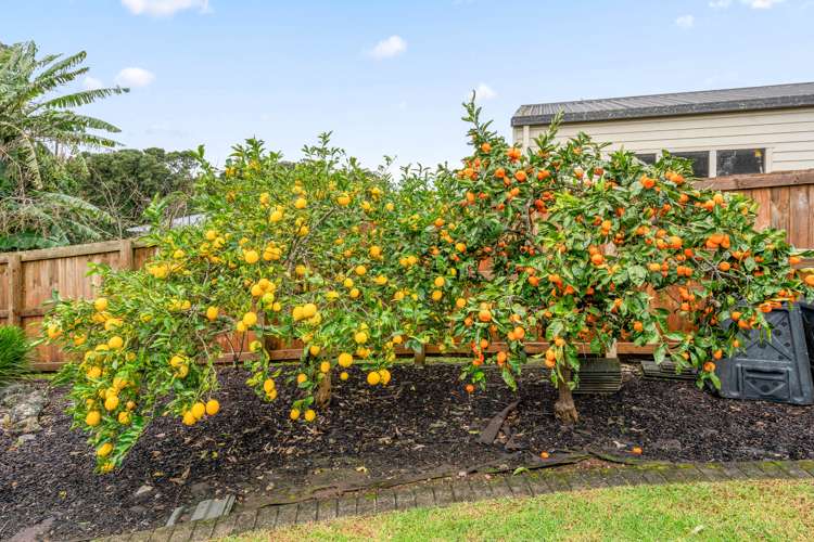 39a Te Hape Road Maunu_15