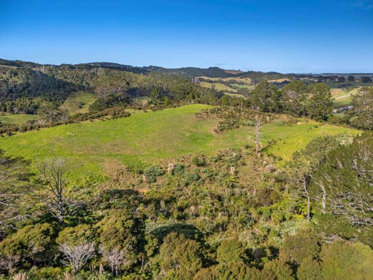 132B Gatfield Road Kaukapakapa_23