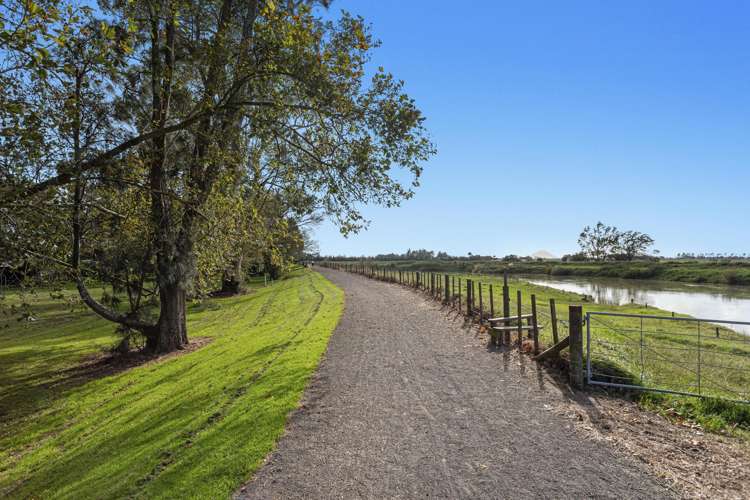 41 College Road Edgecumbe_15