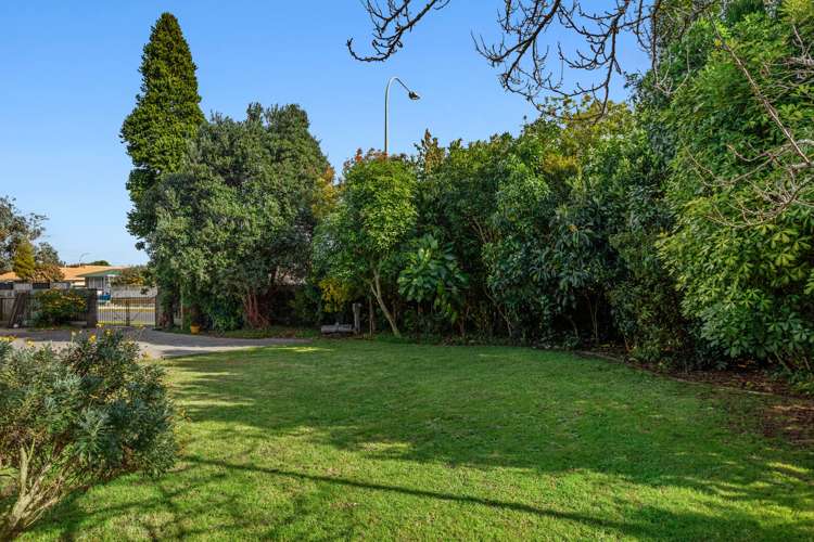 71 James Street Whakatane_21