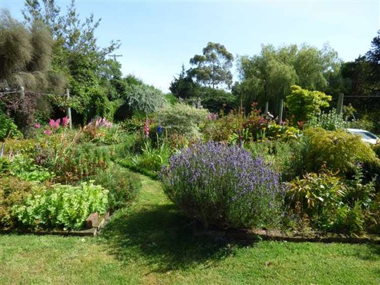 331 Mount Wallace Road Balclutha_5