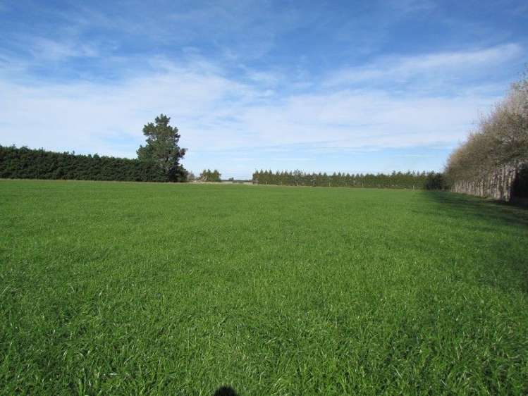 362 Maronan Road Winslow_15