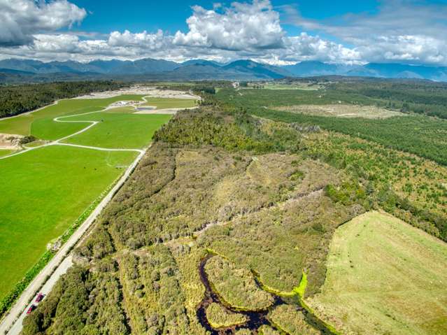 11.52 ha native bush block near Hokitika