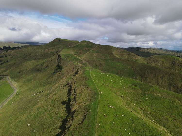 40 Totara Road Awapuni_6