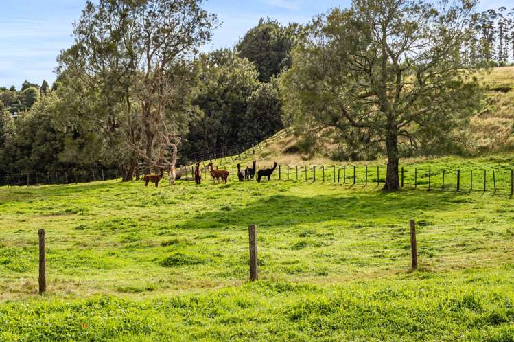 1706 Oropi Road Oropi_29