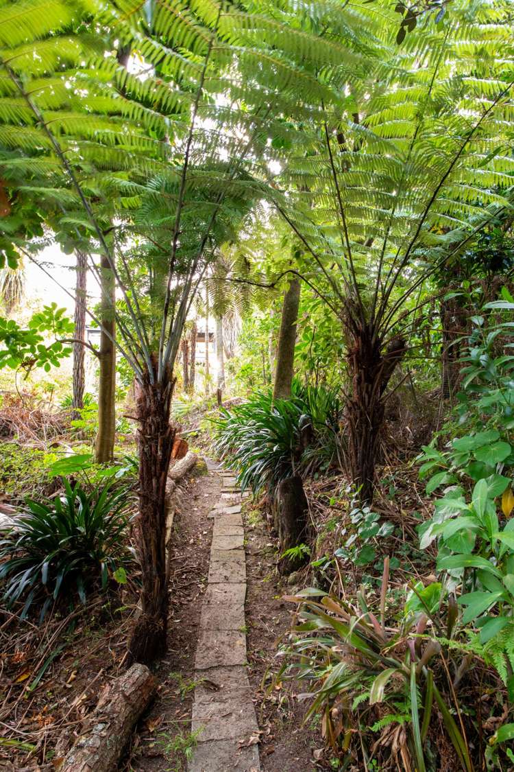 50 Castor Bay Road Castor Bay_33