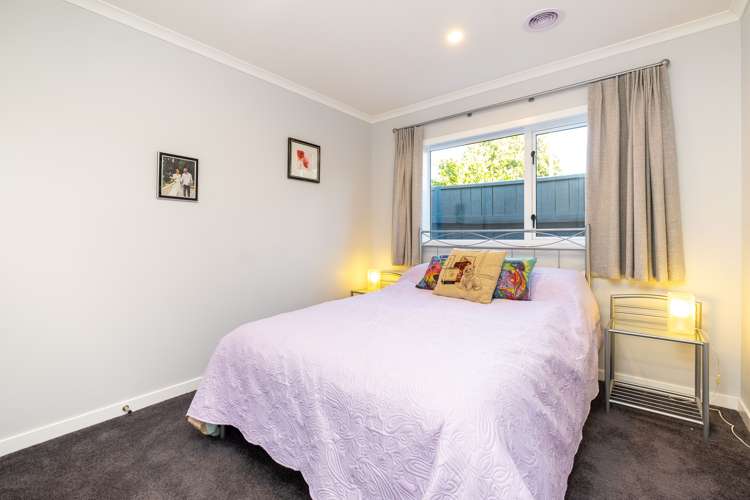 164a Guppy Road Taradale_12