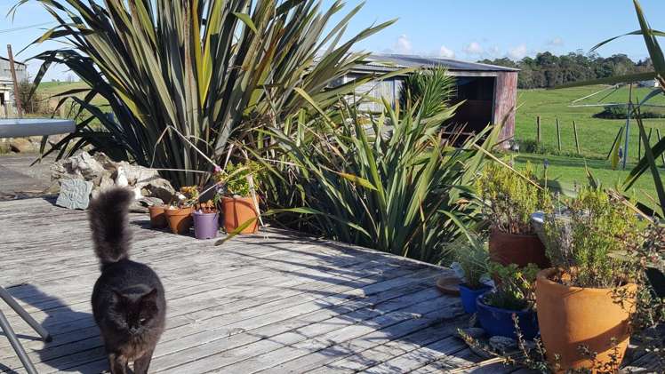 1942 Miranda Road Mangatangi_5