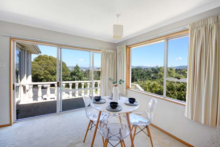 42 Aytoun Street Waverley_7