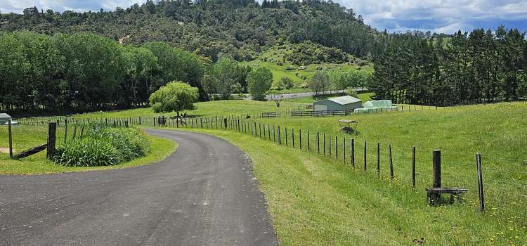 2221 SH25 Tairua-Whitianga Road Coroglen_3