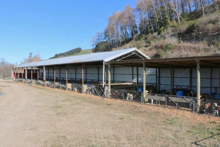 277 Mill Road Waimate_11