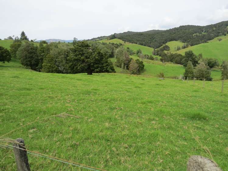 Lot 4 Taylor Road Taipa_20