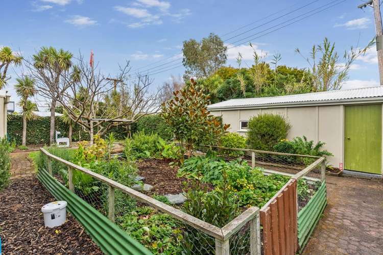 15 Lucas Drive Leithfield_16