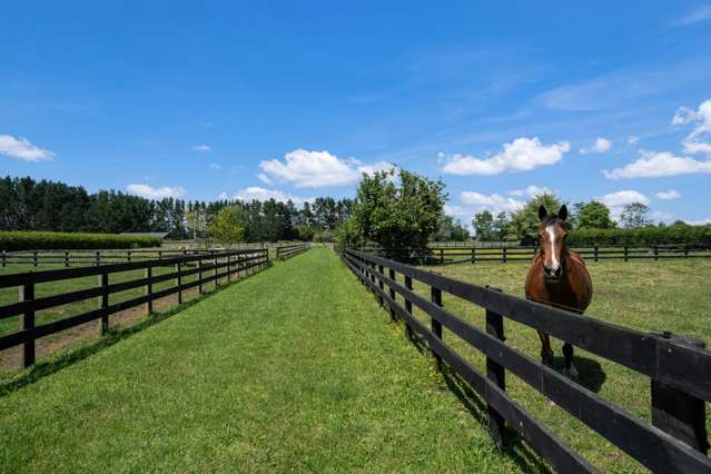 146 French Pass Road Cambridge_3