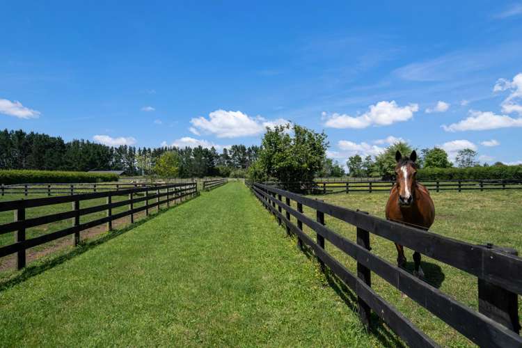 146 French Pass Road_3