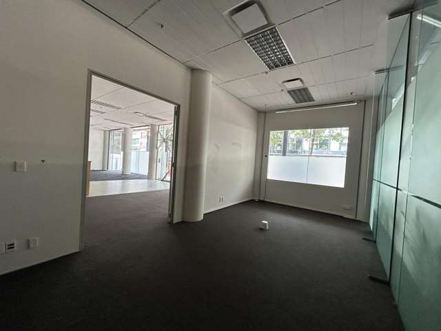 Ground/186 Willis Street Te Aro_1