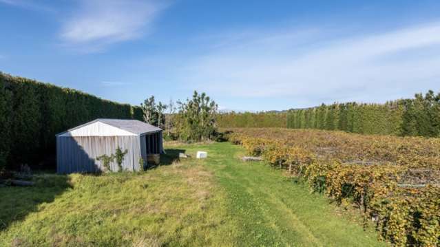 37 Selwyn Road Whakatane Surrounds_1