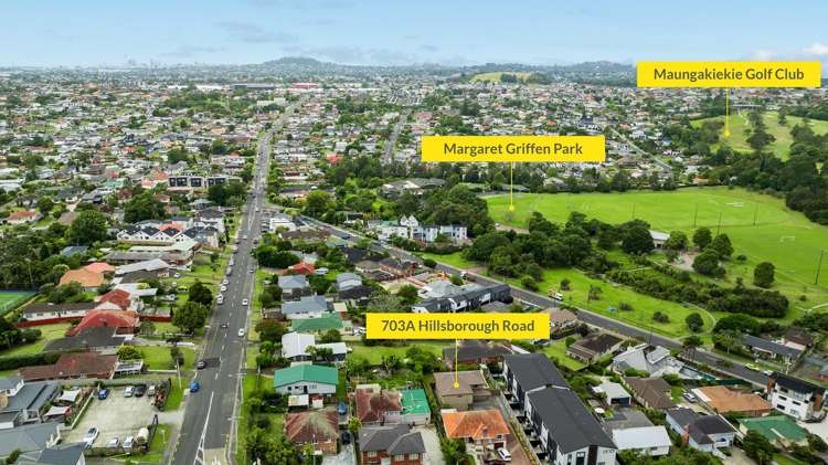 703A Hillsborough Road Mount Roskill_26