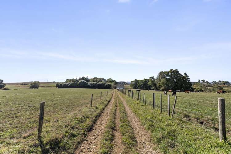 691 Highway 22 Pukekawa_13