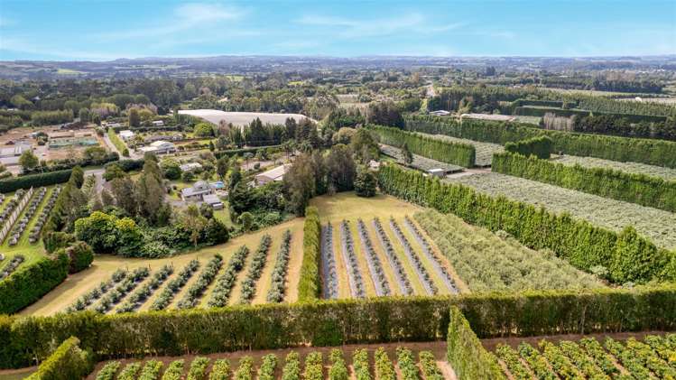 565 Kerikeri Road Kerikeri_10